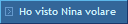 Ho visto Nina volare